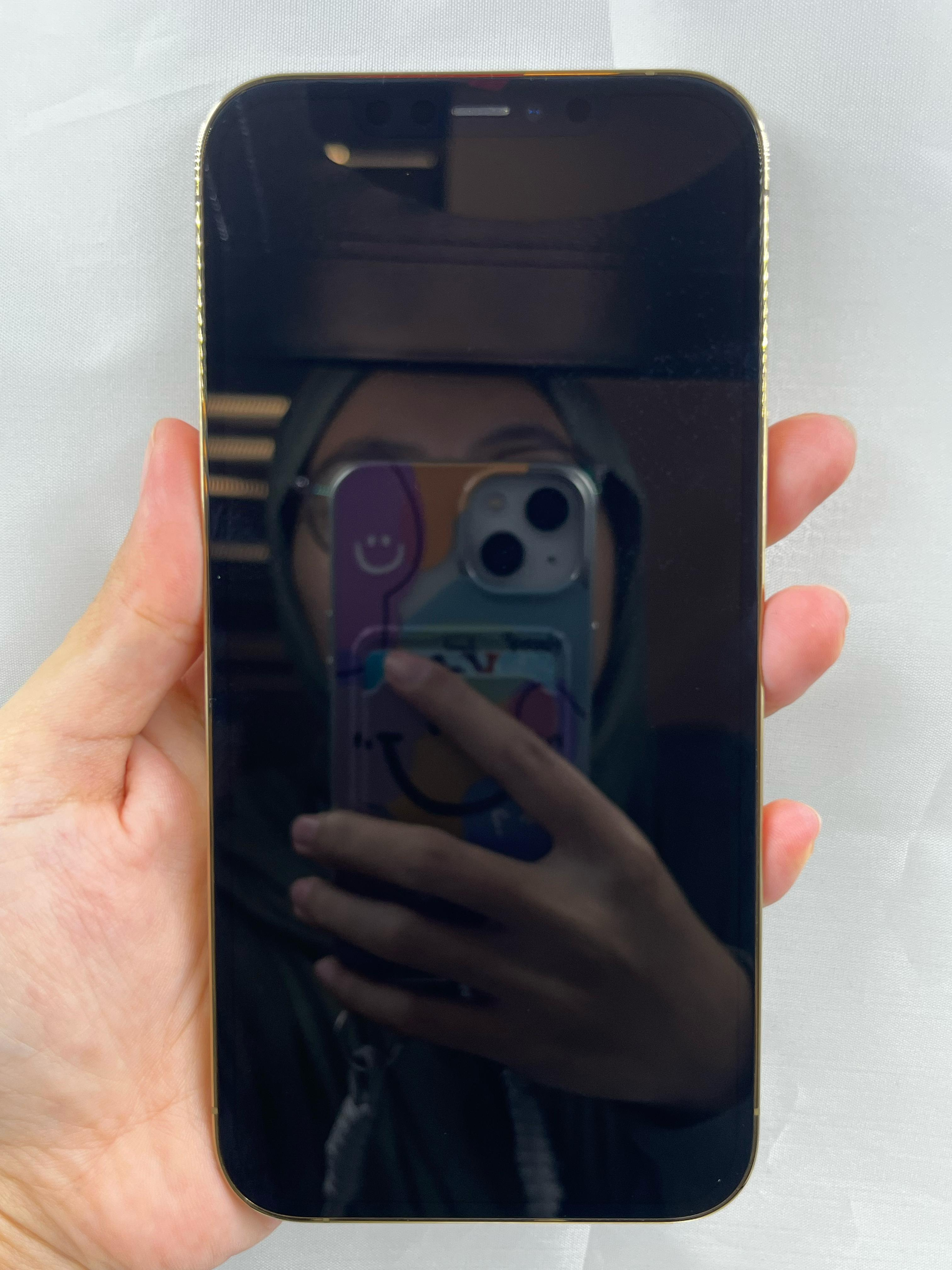 iPhone 12 Pro Max 512GB