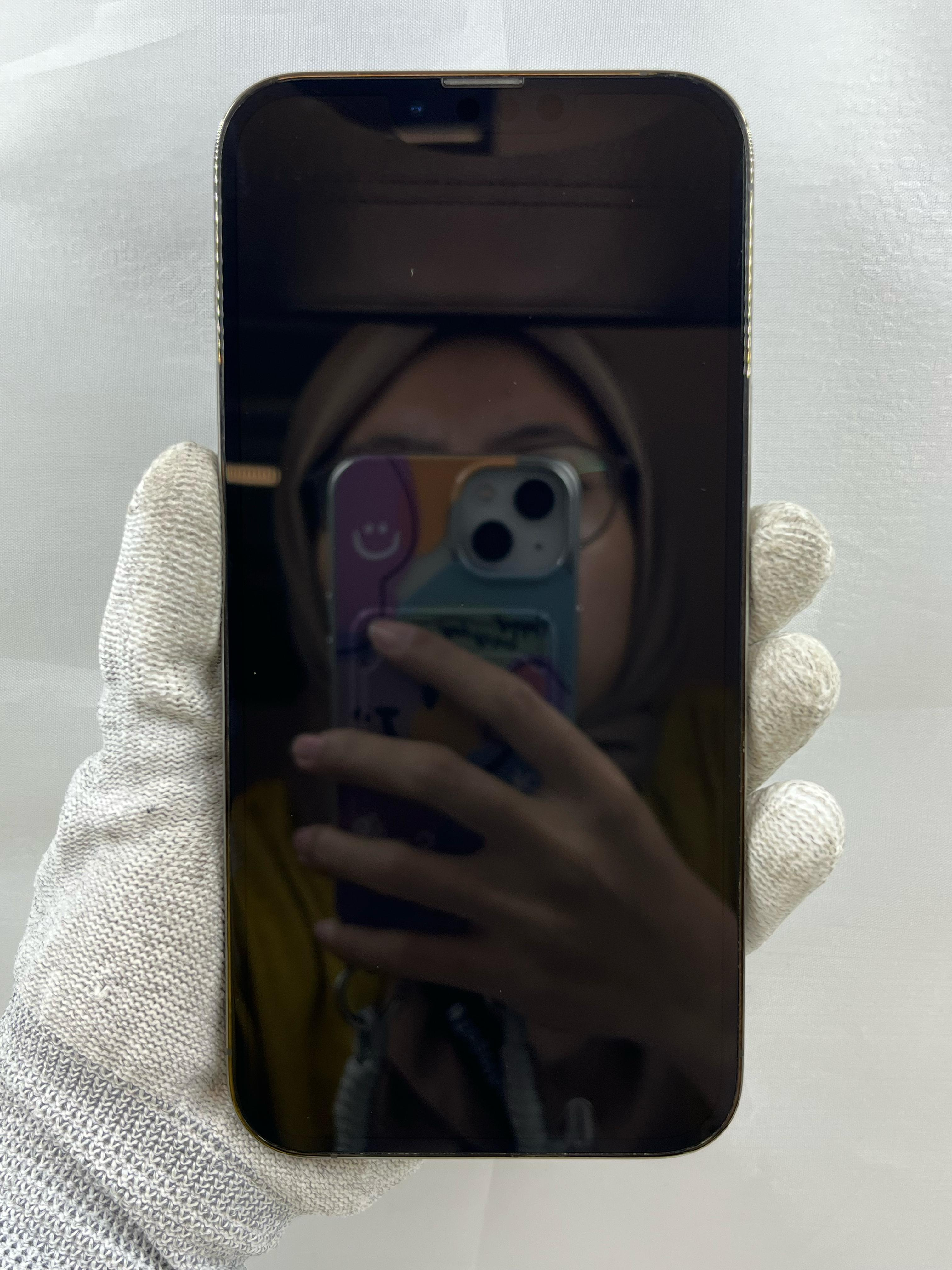 iPhone 13 Pro Max 256GB